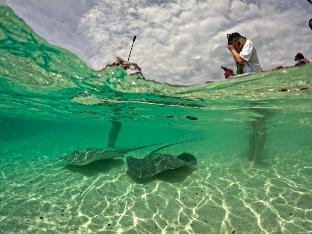 Adroit Beach Inn Guraidhoo  Dış mekan fotoğraf