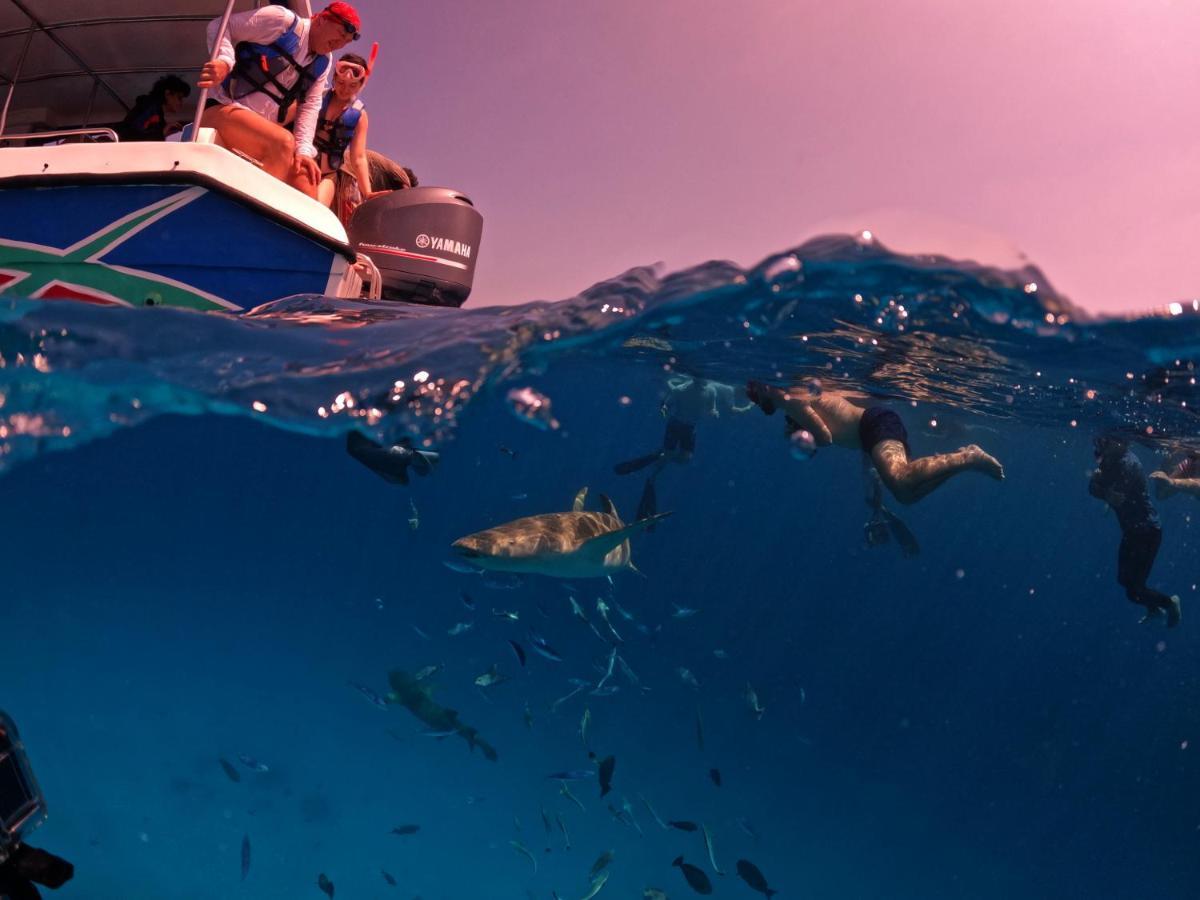 Adroit Beach Inn Guraidhoo  Dış mekan fotoğraf