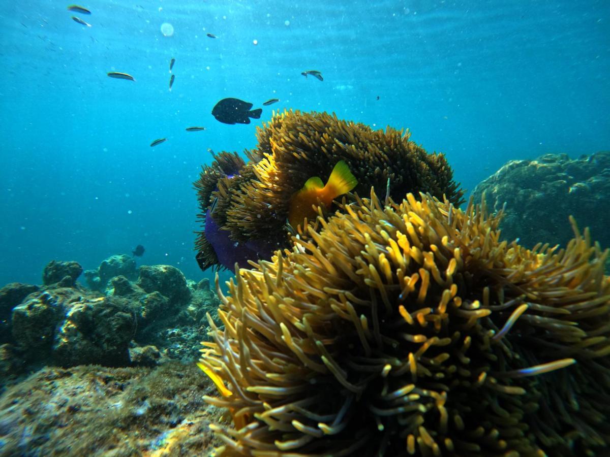 Adroit Beach Inn Guraidhoo  Dış mekan fotoğraf