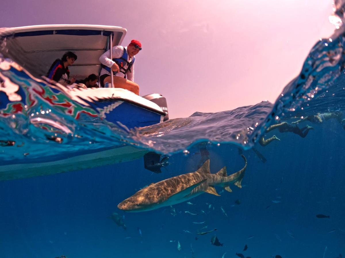 Adroit Beach Inn Guraidhoo  Dış mekan fotoğraf