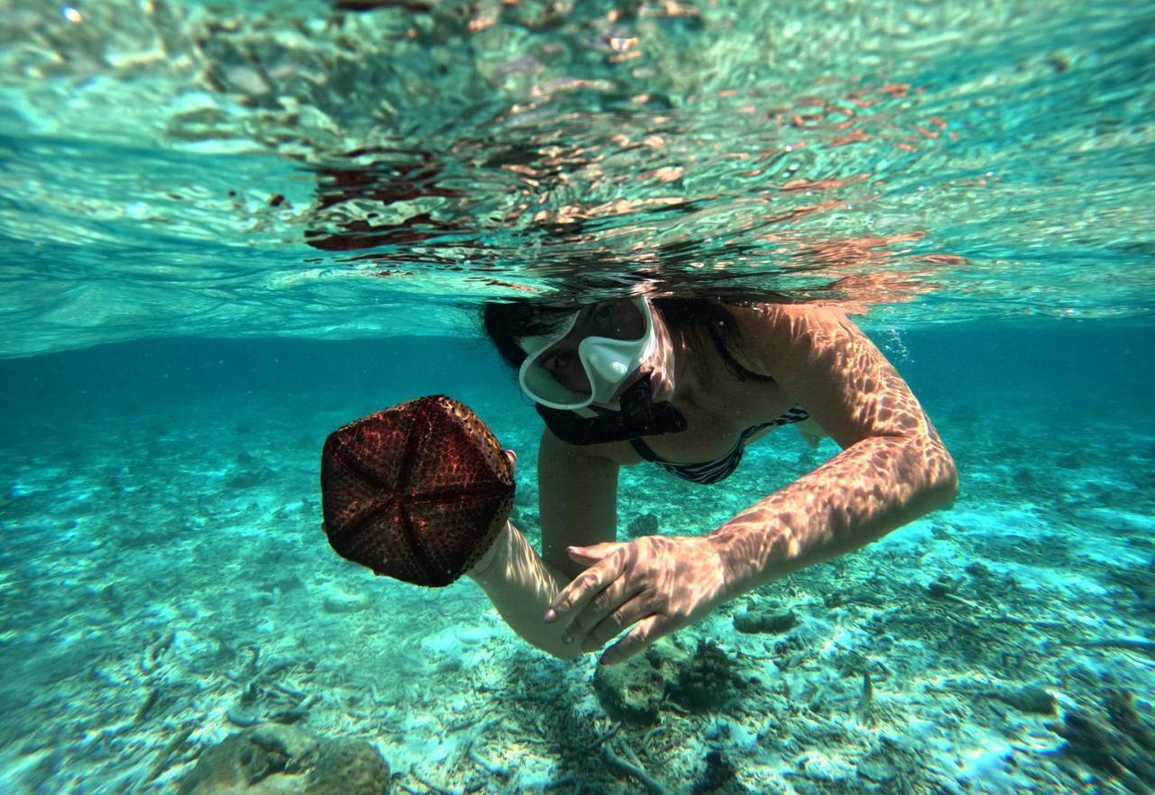 Adroit Beach Inn Guraidhoo  Dış mekan fotoğraf