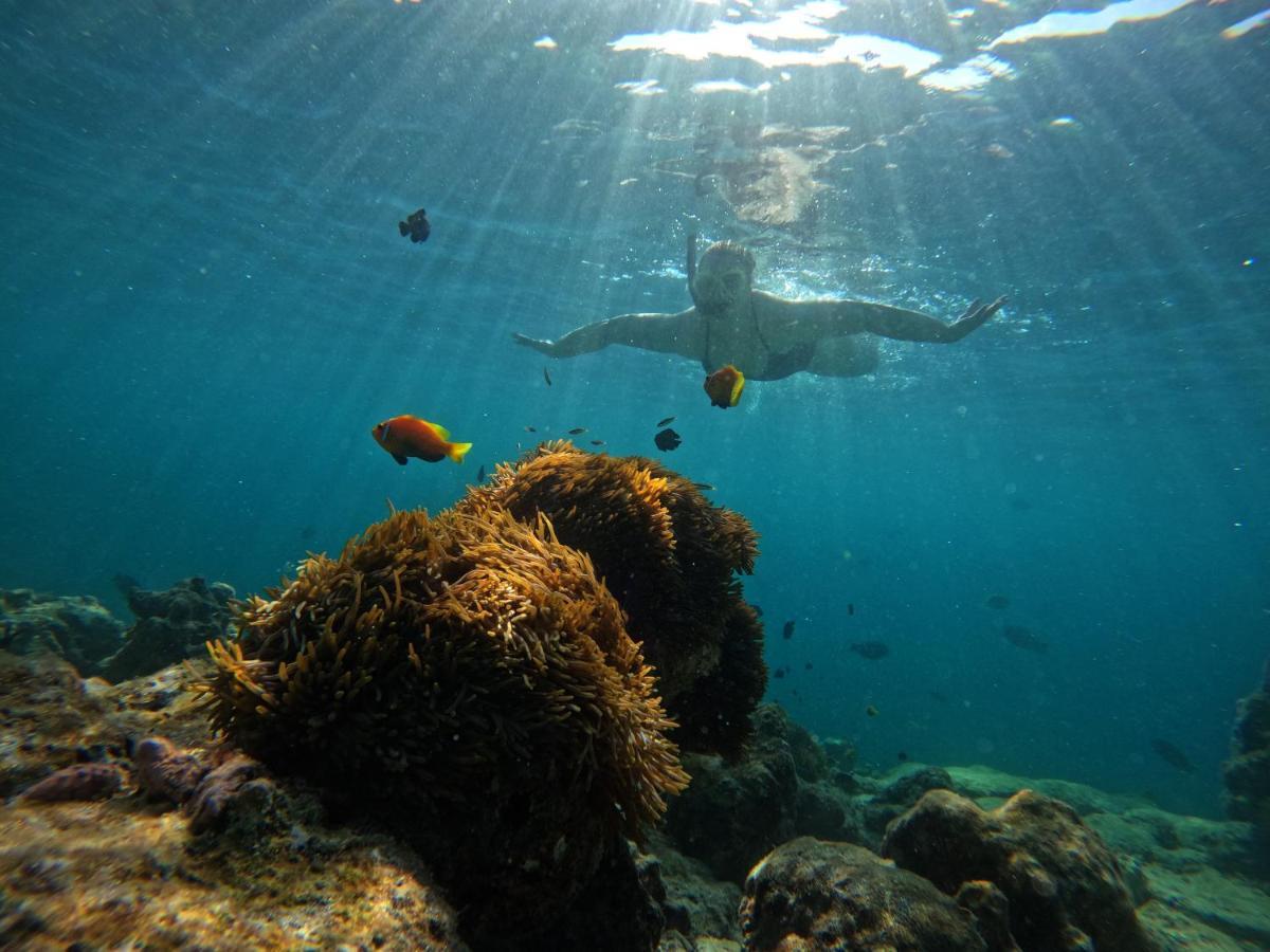 Adroit Beach Inn Guraidhoo  Dış mekan fotoğraf