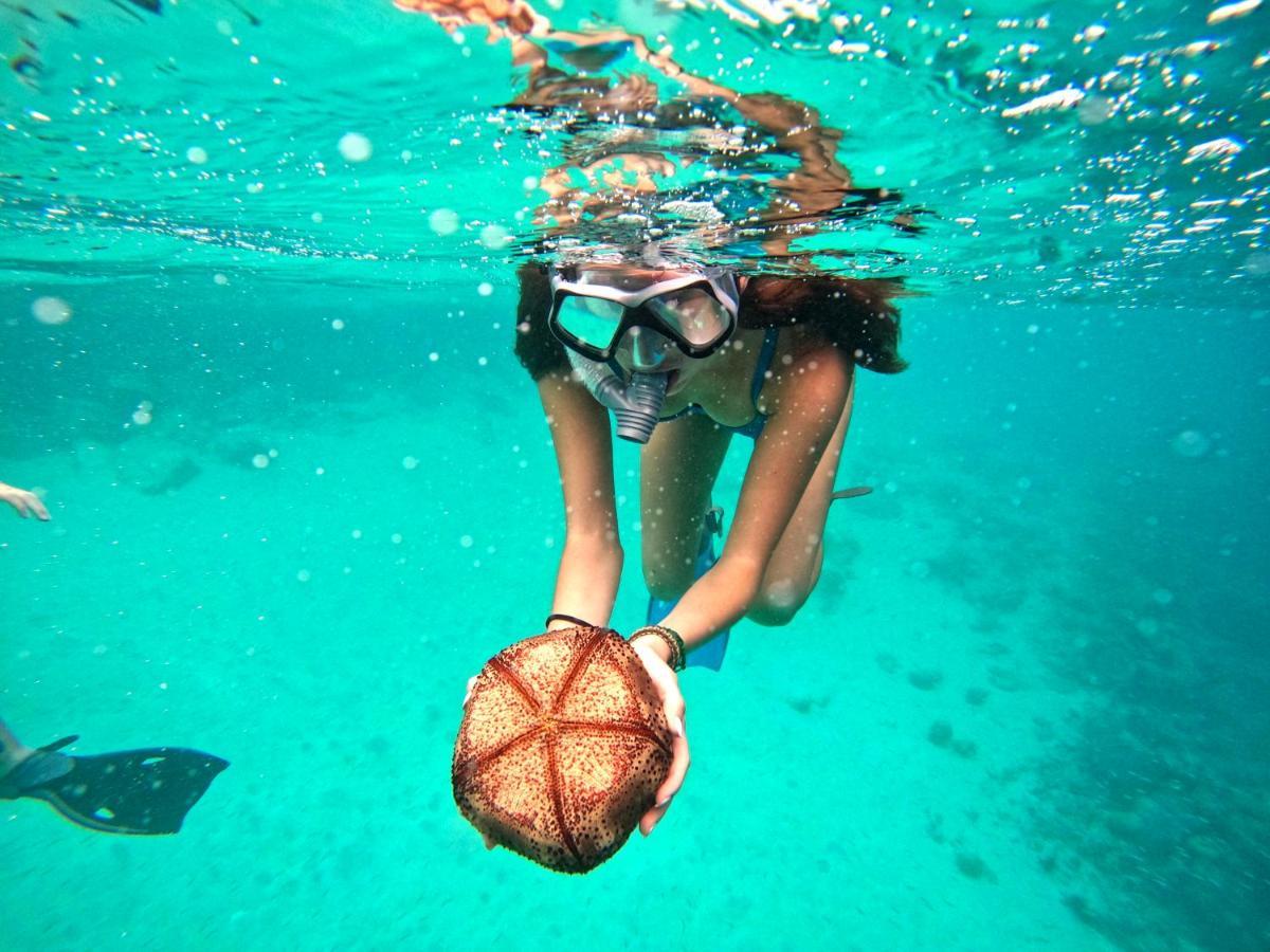 Adroit Beach Inn Guraidhoo  Dış mekan fotoğraf
