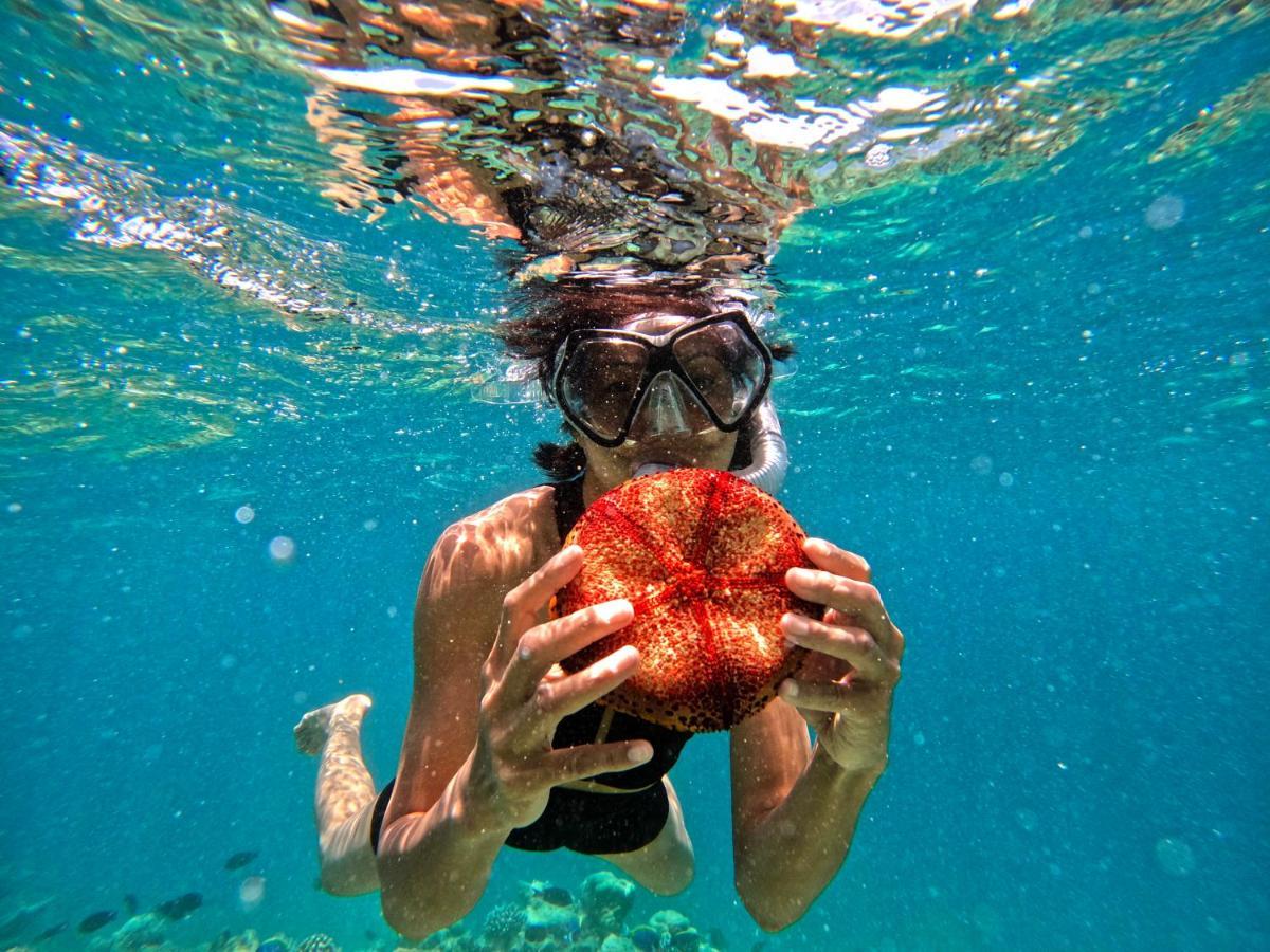 Adroit Beach Inn Guraidhoo  Dış mekan fotoğraf