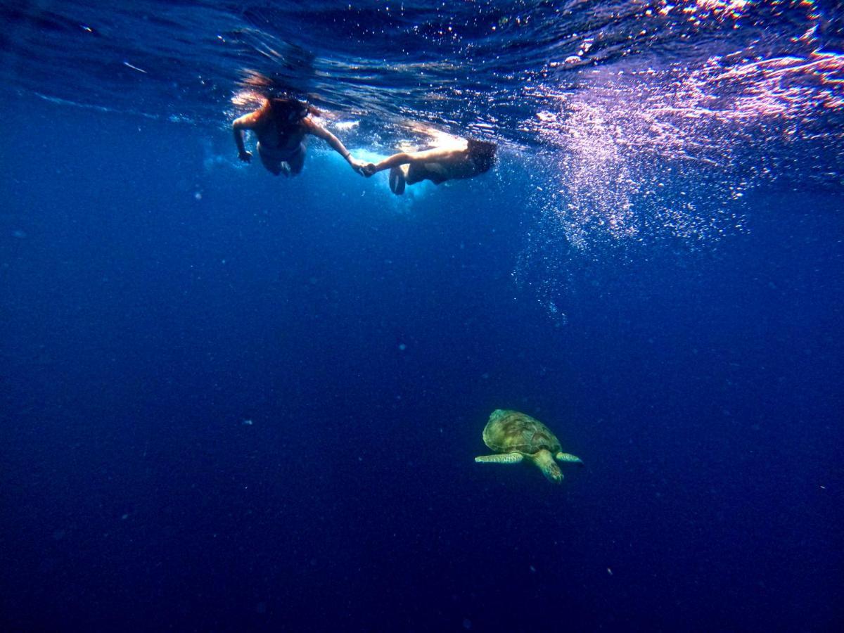 Adroit Beach Inn Guraidhoo  Dış mekan fotoğraf