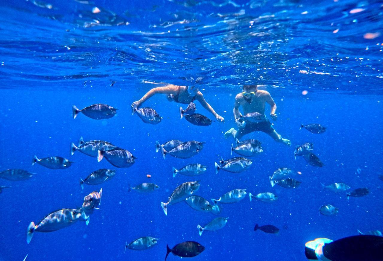 Adroit Beach Inn Guraidhoo  Dış mekan fotoğraf