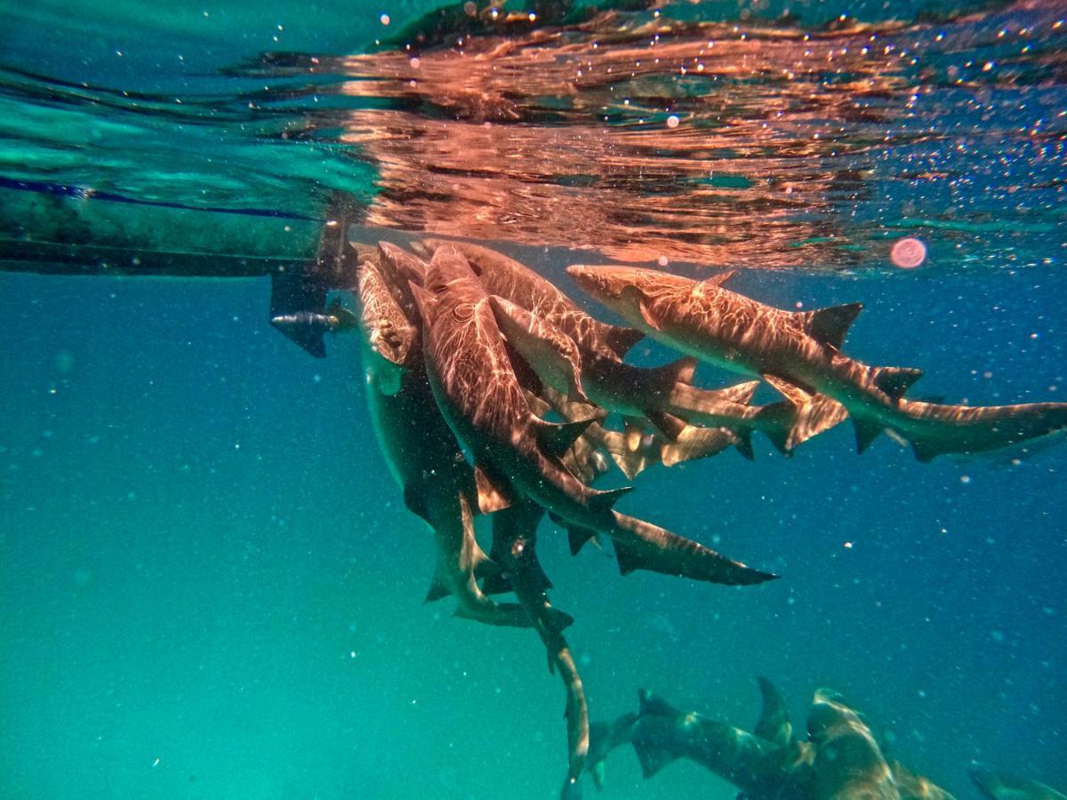 Adroit Beach Inn Guraidhoo  Dış mekan fotoğraf