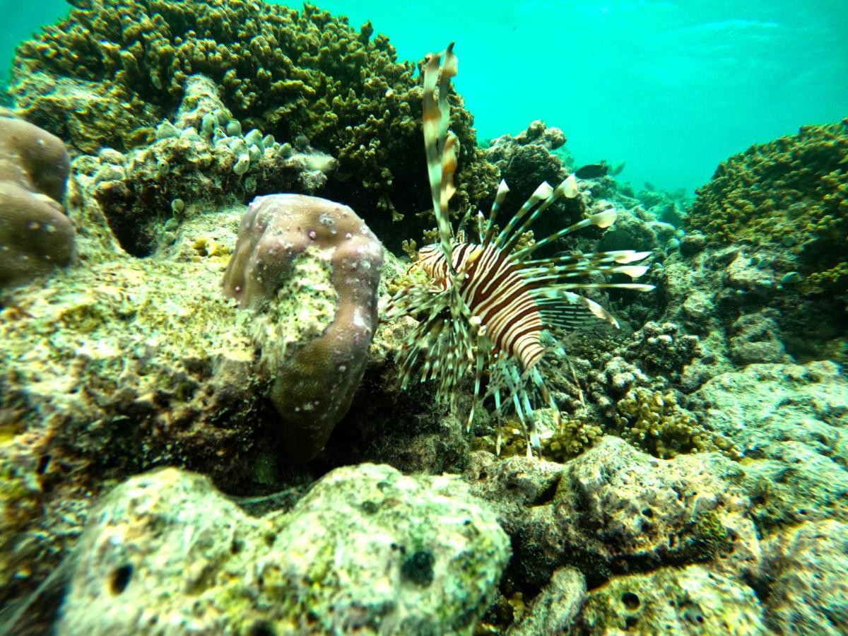 Adroit Beach Inn Guraidhoo  Dış mekan fotoğraf