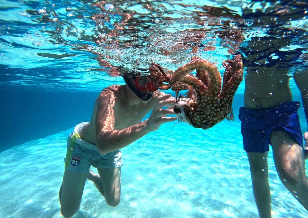 Adroit Beach Inn Guraidhoo  Dış mekan fotoğraf